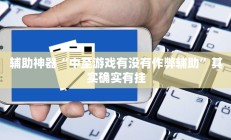 辅助神器“中至游戏有没有作弊辅助”其实确实有挂