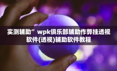 实测辅助”wpk俱乐部辅助作弊挂透视软件(透视)辅助软件教程