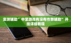 实测辅助”中至游戏有没有作弊辅助”开挂详细教程