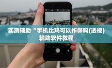 实测辅助”广西八一字牌有挂吗”开挂详细教程