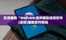 实测辅助“WePoker德州辅助透视软件(透视)辅助软件教程