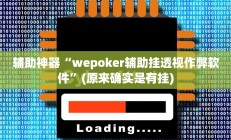 辅助神器“wepoker辅助挂透视作弊软件”(原来确实是有挂)