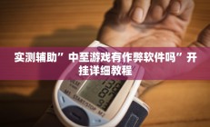 实测辅助”中至游戏有作弊软件吗”开挂详细教程