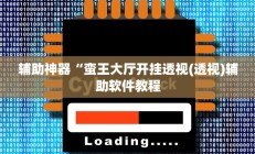 辅助神器“蛮王大厅开挂透视(透视)辅助软件教程