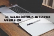 【天门山草莓采摘团购群/天门山景区游客暴力采摘果子 视频】