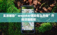实测辅助”wepoker辅助怎么开挂”开挂详细教程