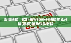 实测辅助”微扑克wepoker辅助怎么开挂(透视)辅助软件教程
