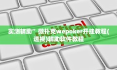 实测辅助”微扑克wepoker开挂教程(透视)辅助软件教程