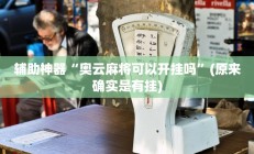 辅助神器“奥云麻将可以开挂吗”(原来确实是有挂)