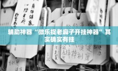 辅助神器“微乐捉老麻子开挂神器”其实确实有挂