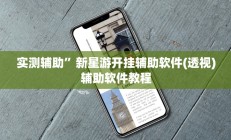 实测辅助”新星游开挂辅助软件(透视)辅助软件教程