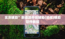 实测辅助”新道游开挂辅助(透视)辅助软件教程