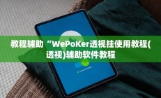 教程辅助“WePoKer透视挂使用教程(透视)辅助软件教程