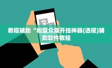 教程辅助“松鼠众娱开挂神器(透视)辅助软件教程