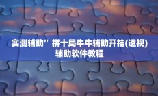 实测辅助”拼十局牛牛辅助开挂(透视)辅助软件教程