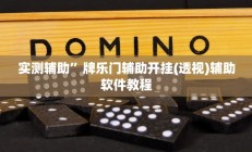 实测辅助”牌乐门辅助开挂(透视)辅助软件教程