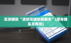 实测辅助“透视挂辅助器脚本”(原来确实是有挂)