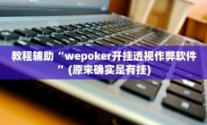 教程辅助“wepoker开挂透视作弊软件”(原来确实是有挂)