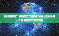 实测辅助”鸿运十三张辅助开挂”开挂详细教程