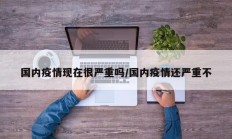 国内疫情现在很严重吗／国内疫情还严重不