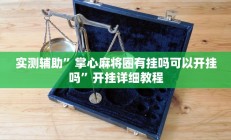 开挂辅助工具“微乐卡五星辅助器”详细开挂教程