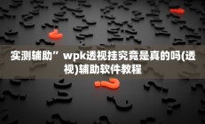 实测辅助”wpk透视挂究竟是真的吗(透视)辅助软件教程