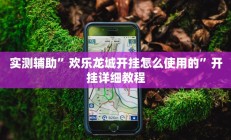 实测辅助”欢乐龙城开挂怎么使用的”开挂详细教程