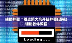 辅助神器“胜奕填大坑开挂神器(透视)辅助软件教程