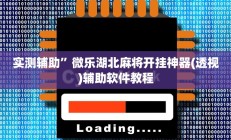 实测辅助”微乐湖北麻将开挂神器(透视)辅助软件教程