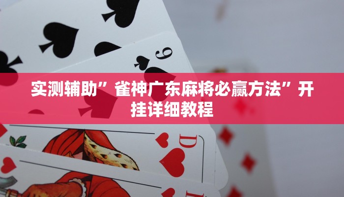 教程辅助“闲来贵州麻将开挂的软件(透视)辅助软件教程