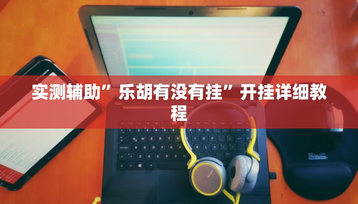 实测辅助”乐胡有没有挂”开挂详细教程