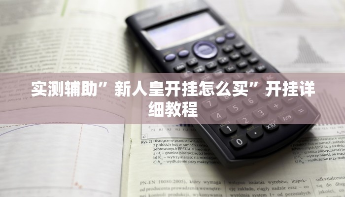 实测辅助”新人皇开挂怎么买”开挂详细教程