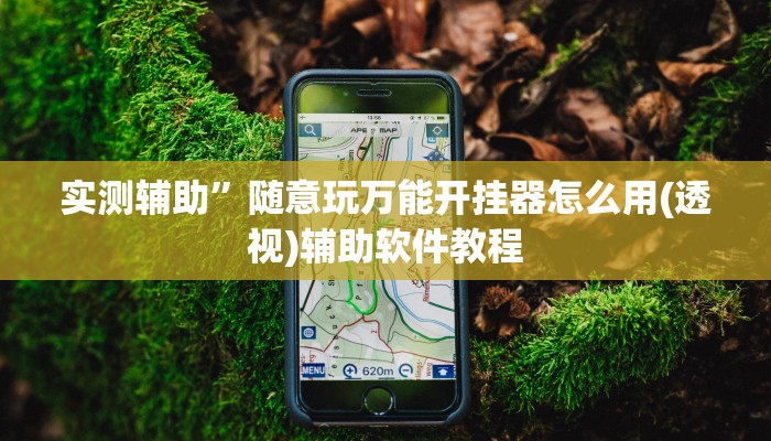 实测辅助”随意玩万能开挂器怎么用(透视)辅助软件教程