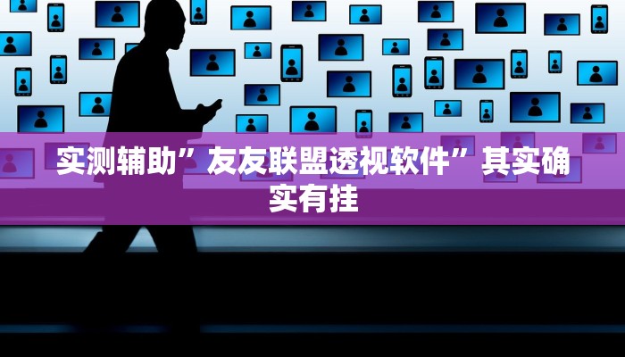 实测辅助”友友联盟透视软件”其实确实有挂