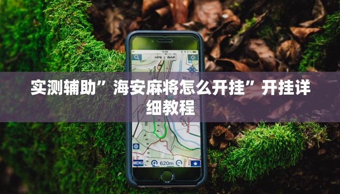 实测辅助”海安麻将怎么开挂”开挂详细教程