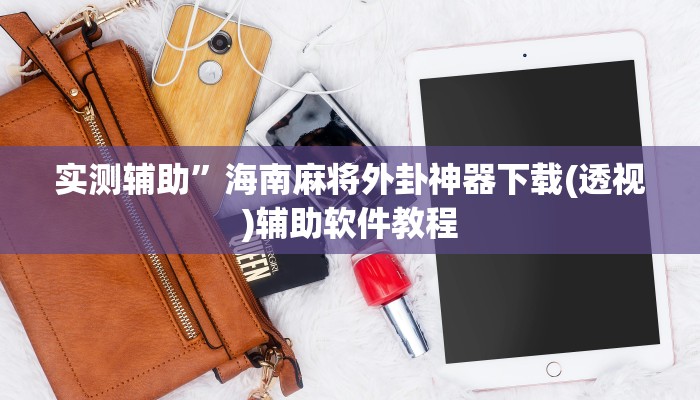 实测辅助“WePoKer辅助挂透视软件”开挂详细教程