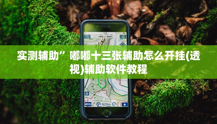 实测辅助”嘟嘟十三张辅助怎么开挂(透视)辅助软件教程