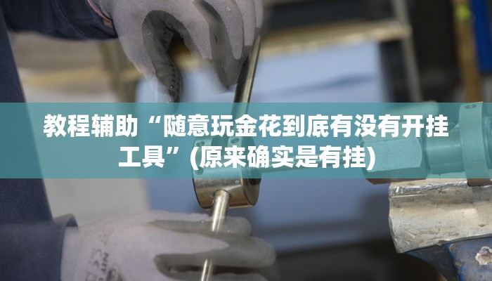 教程辅助“随意玩金花到底有没有开挂工具”(原来确实是有挂)