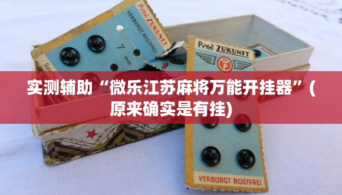开挂辅助工具“乐平讨赏辅助软件”其实确实有挂
