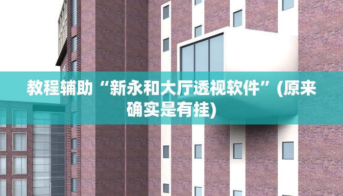 教程辅助“新永和大厅透视软件”(原来确实是有挂)
