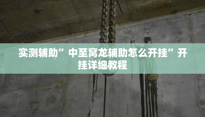 实测辅助”中至窝龙辅助怎么开挂”开挂详细教程
