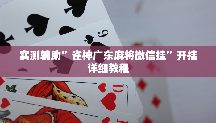 实测辅助”乐游休闲有没有挂(透视)辅助软件教程