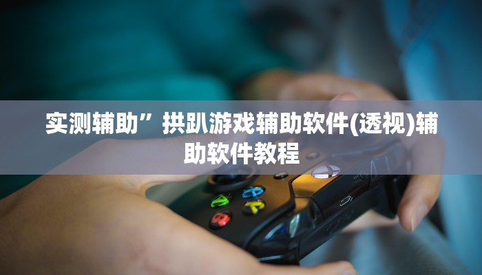 实测辅助”拱趴游戏辅助软件(透视)辅助软件教程
