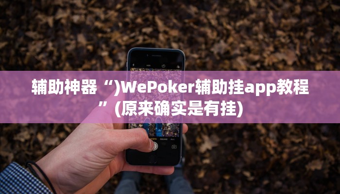 实测辅助”微乐过炸开挂神器”其实确实有挂