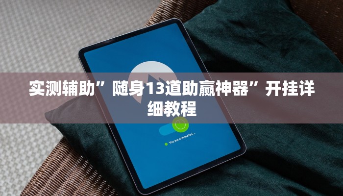 实测辅助”随身13道助赢神器”开挂详细教程