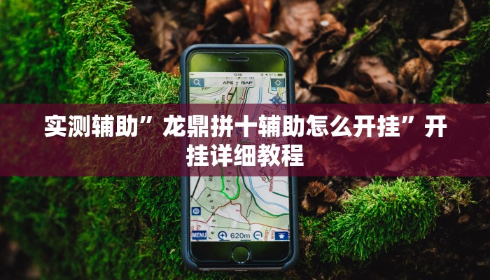 实测辅助”龙鼎拼十辅助怎么开挂”开挂详细教程