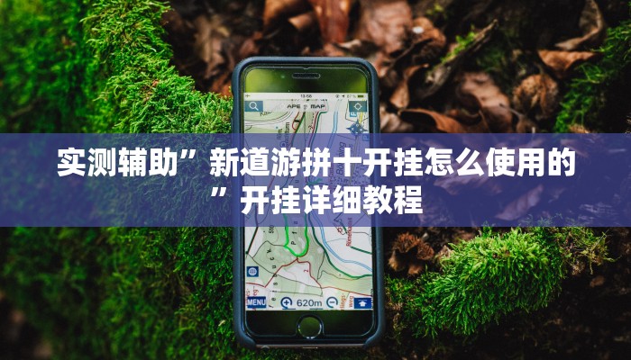 实测辅助”新道游拼十开挂怎么使用的”开挂详细教程