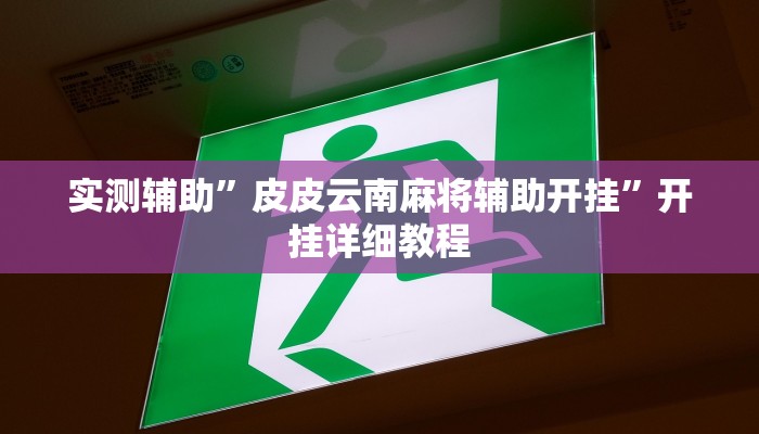 实测辅助“"wepoker开挂透视"”开挂详细教程