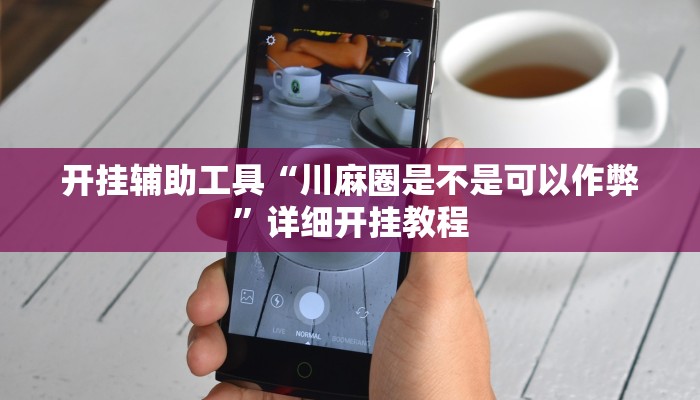 开挂辅助工具“边锋掼蛋辅助器”其实确实有挂