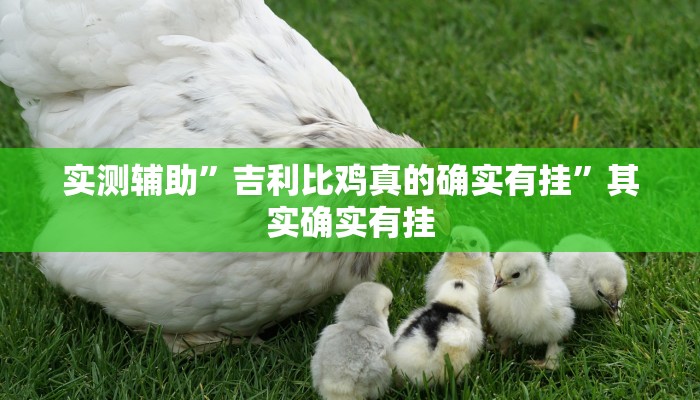 教程辅助“打哈儿麻将开挂神器(透视)辅助软件教程